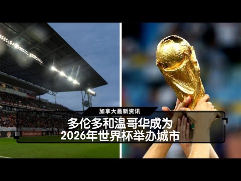 徐正源放弃,千万年薪合,体坛华丽转,时时彩,彩票平台,数据分析,在线投注,高频彩票