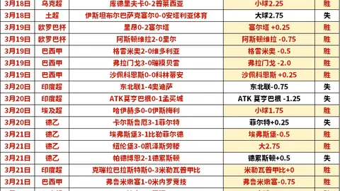 纪念若塔：心中永恒的温暖善良之光