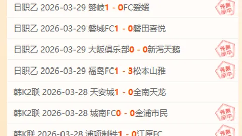 魂矛放置攻略：荒野红地位置解析